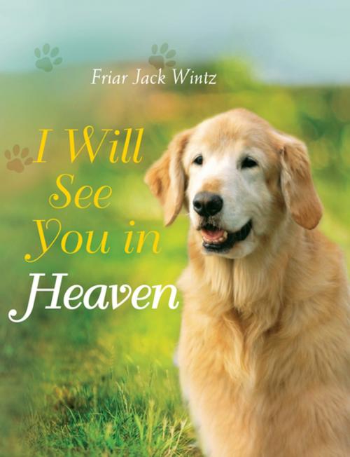 Cover of the book I Will See You in Heaven by Jack Wintz, Paraclete Press