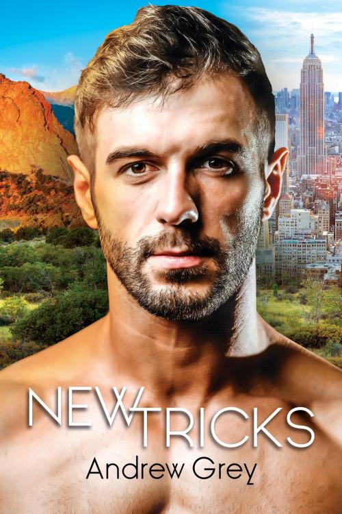 Cover of the book New Tricks by Andrew Grey, Dreamspinner Press