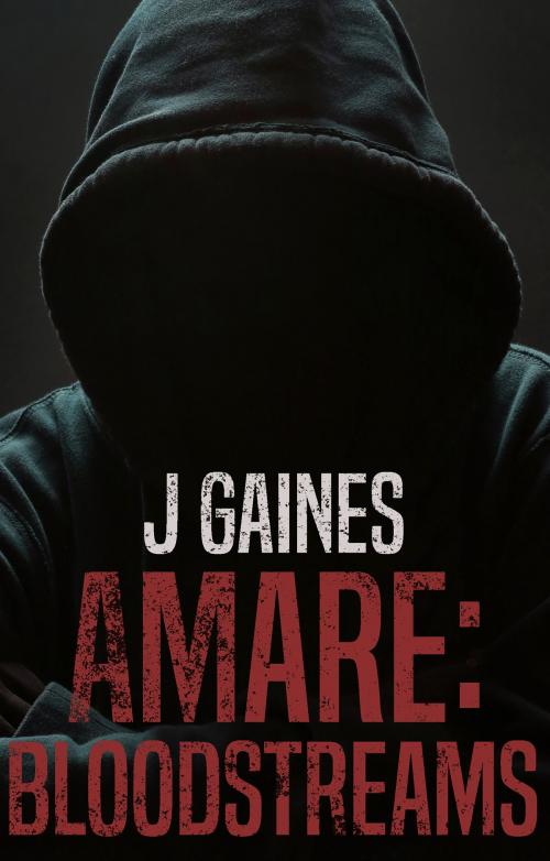 Cover of the book Amare: Bloodstreams by J Gaines, Troubador Publishing Ltd