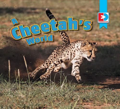 Cover of the book A Cheetah's World by Katie Gillespie, Weigl Publishers Inc.