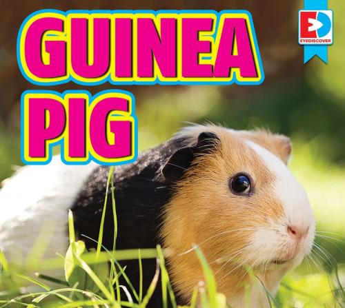 Cover of the book Guinea Pigs by Renae Gilles and Warren Rylands, Weigl Publishers Inc.
