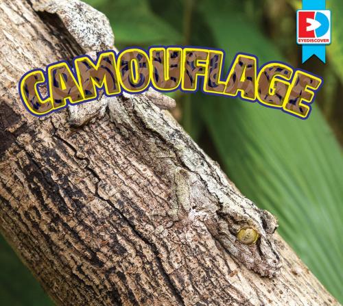Cover of the book Camouflage by Renae Gilles and Warren Rylands, Weigl Publishers Inc.