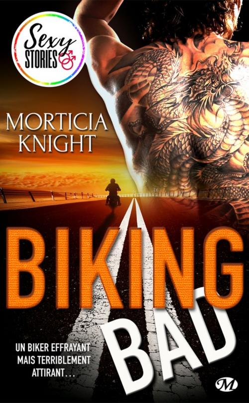 Cover of the book Biking Bad - Sexy Stories by Morticia Knight, Milady