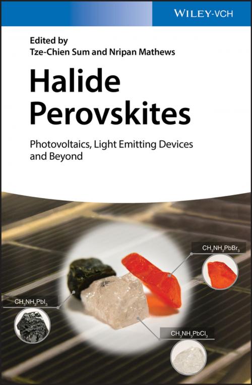 Cover of the book Halide Perovskites by , Wiley