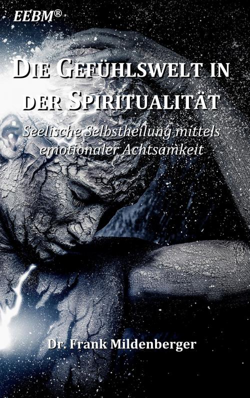 Cover of the book Die Gefühlswelt in der Spiritualität by Frank Mildenberger, Books on Demand