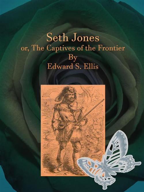 Cover of the book Seth Jones by Edward S. Ellis, Publisher s11838
