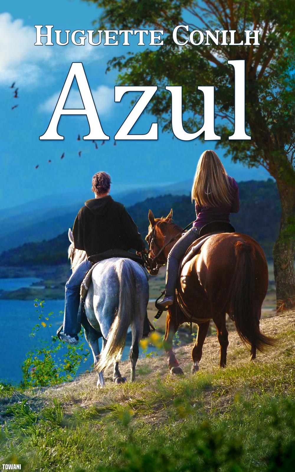 Big bigCover of Azul