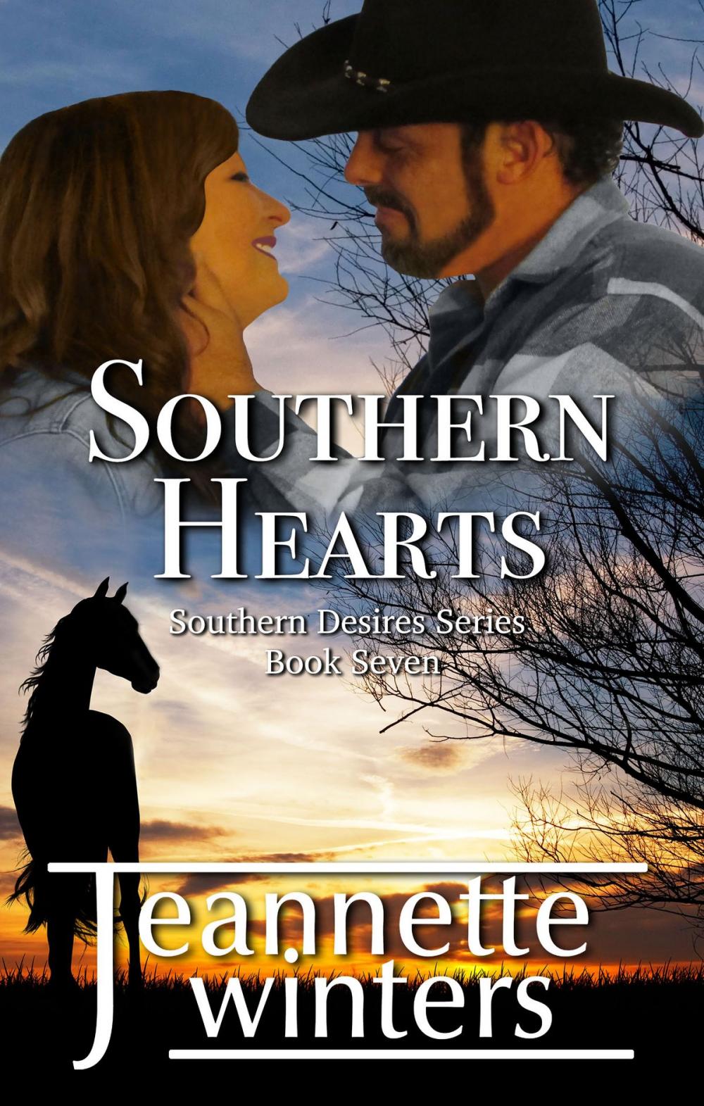 Big bigCover of Southern Hearts