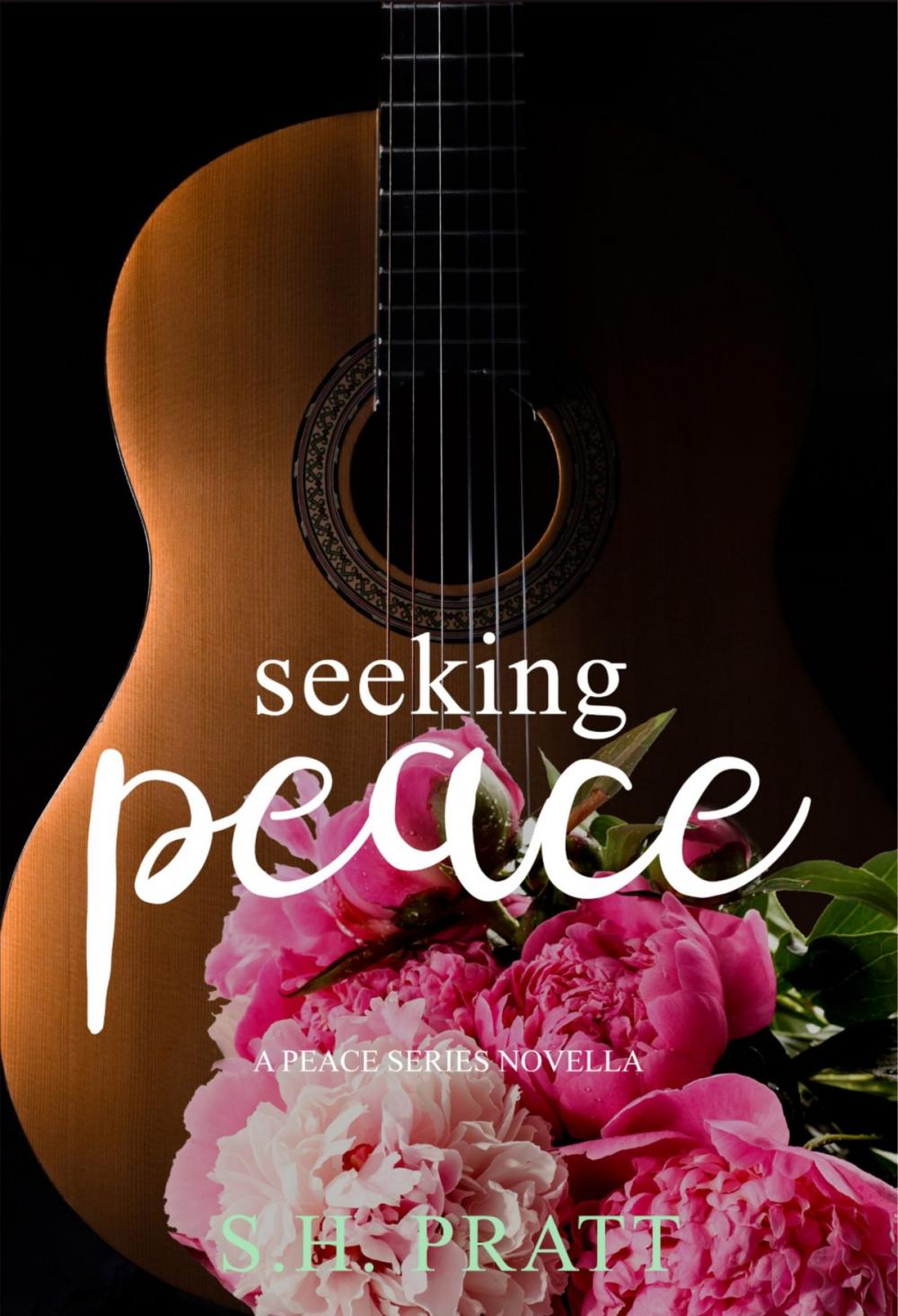 Big bigCover of Seeking Peace