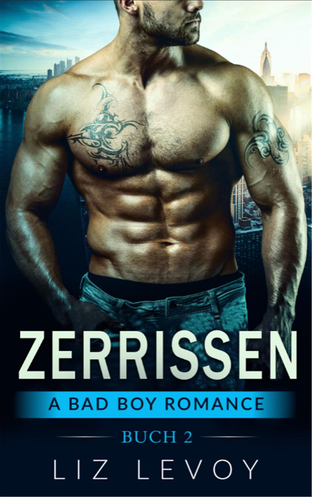 Big bigCover of Zerrissen 2