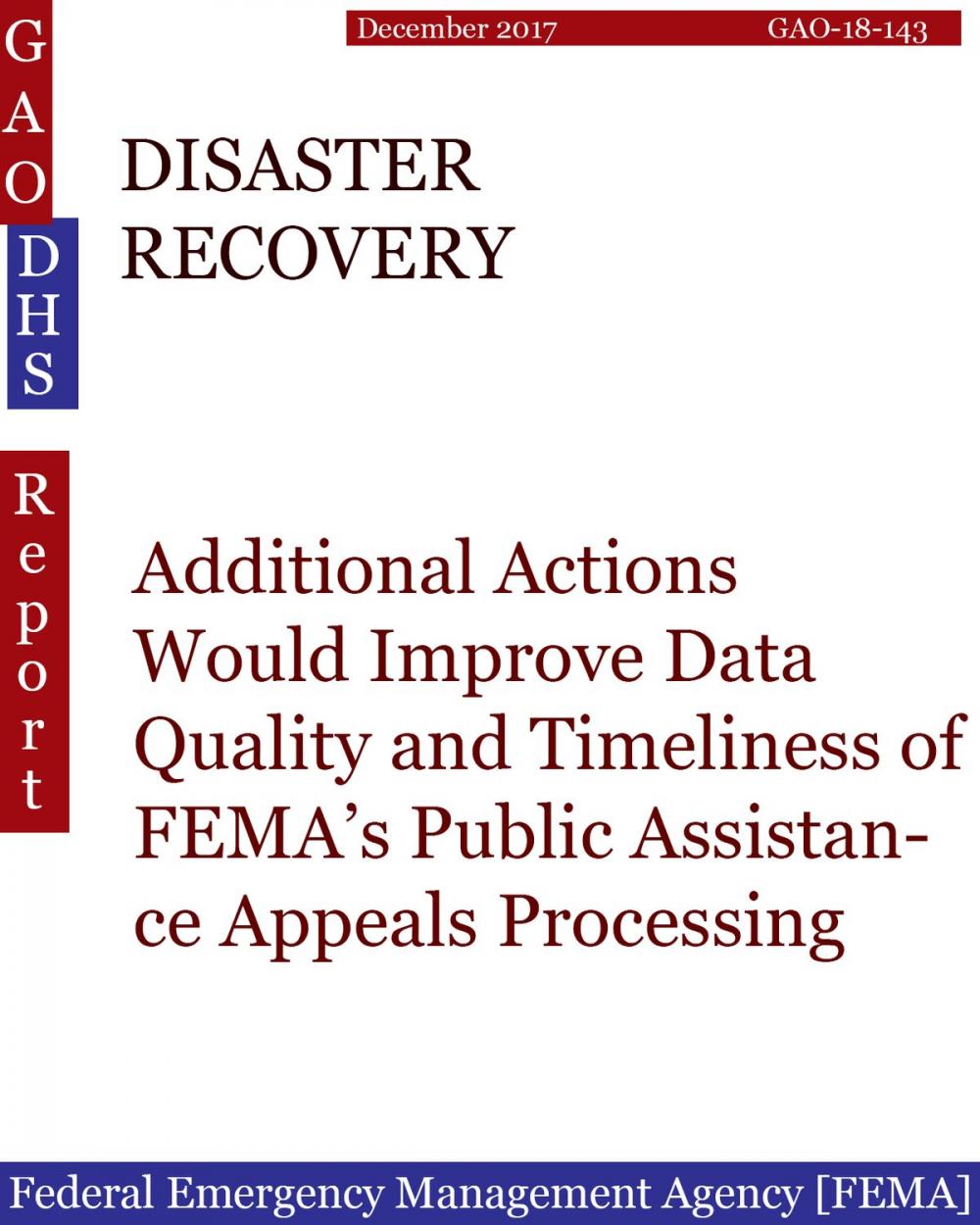 Big bigCover of DISASTER RECOVERY