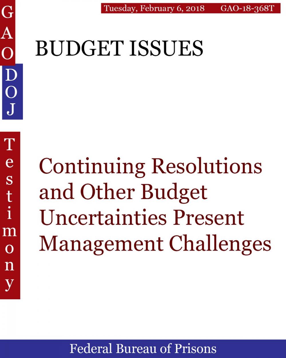 Big bigCover of BUDGET ISSUES