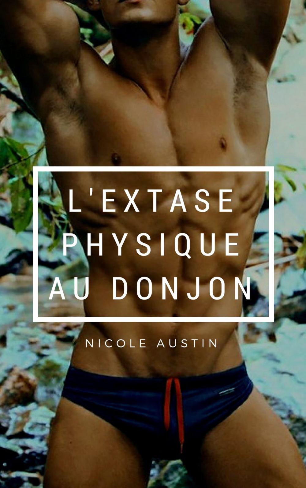 Big bigCover of L'extase physique au donjon