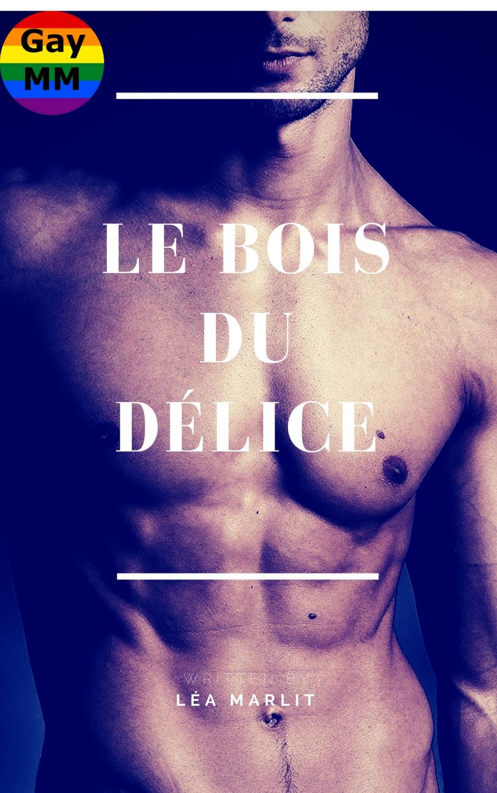 Big bigCover of Le bois du délice