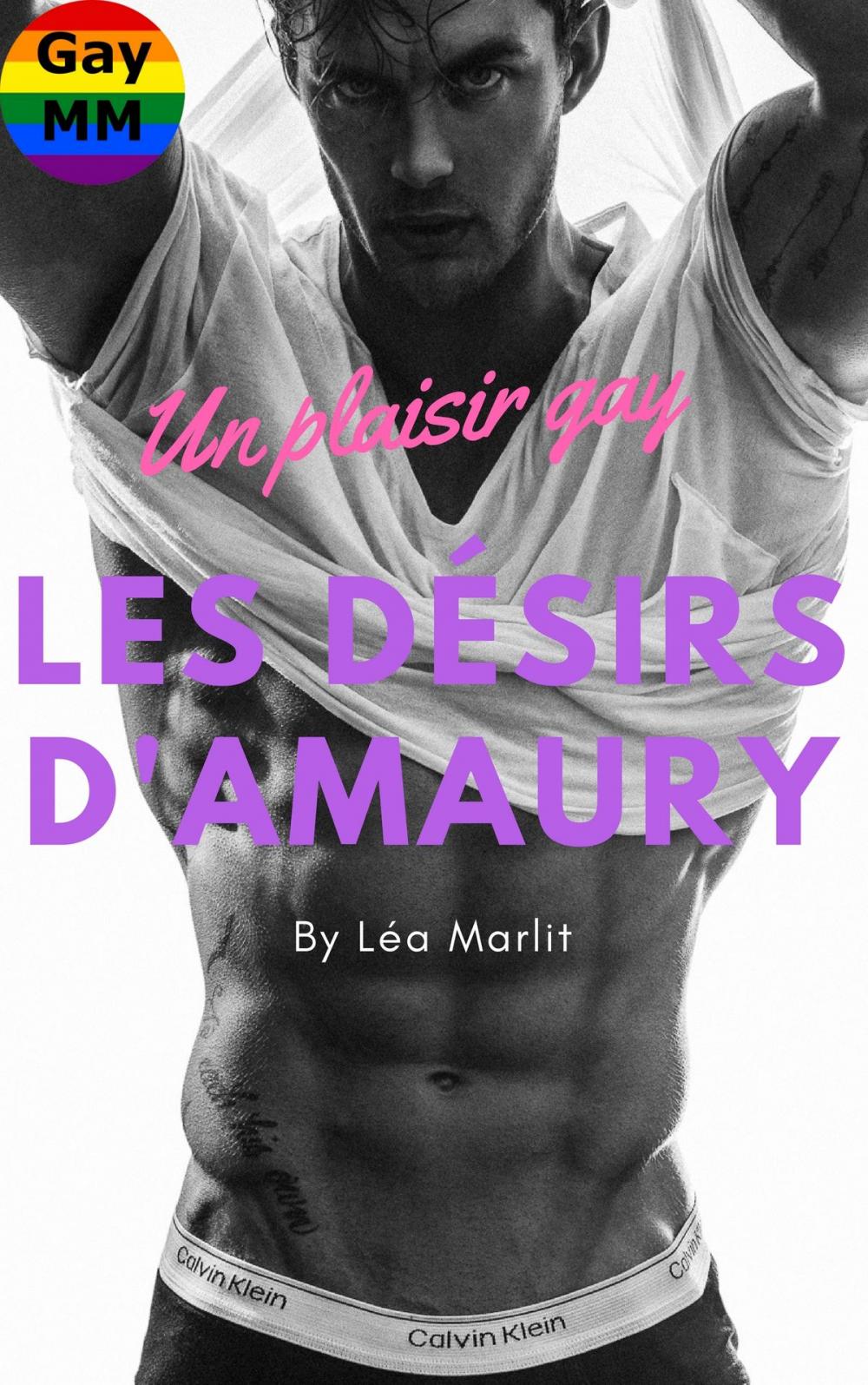 Big bigCover of Les désirs d'Amory