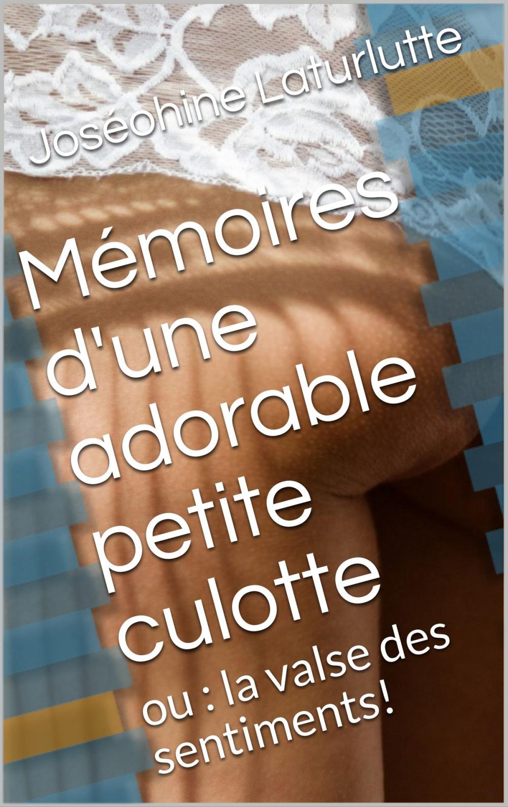 Big bigCover of Deux nouvelles coquines : Mémoires d'une adorable petite culotte