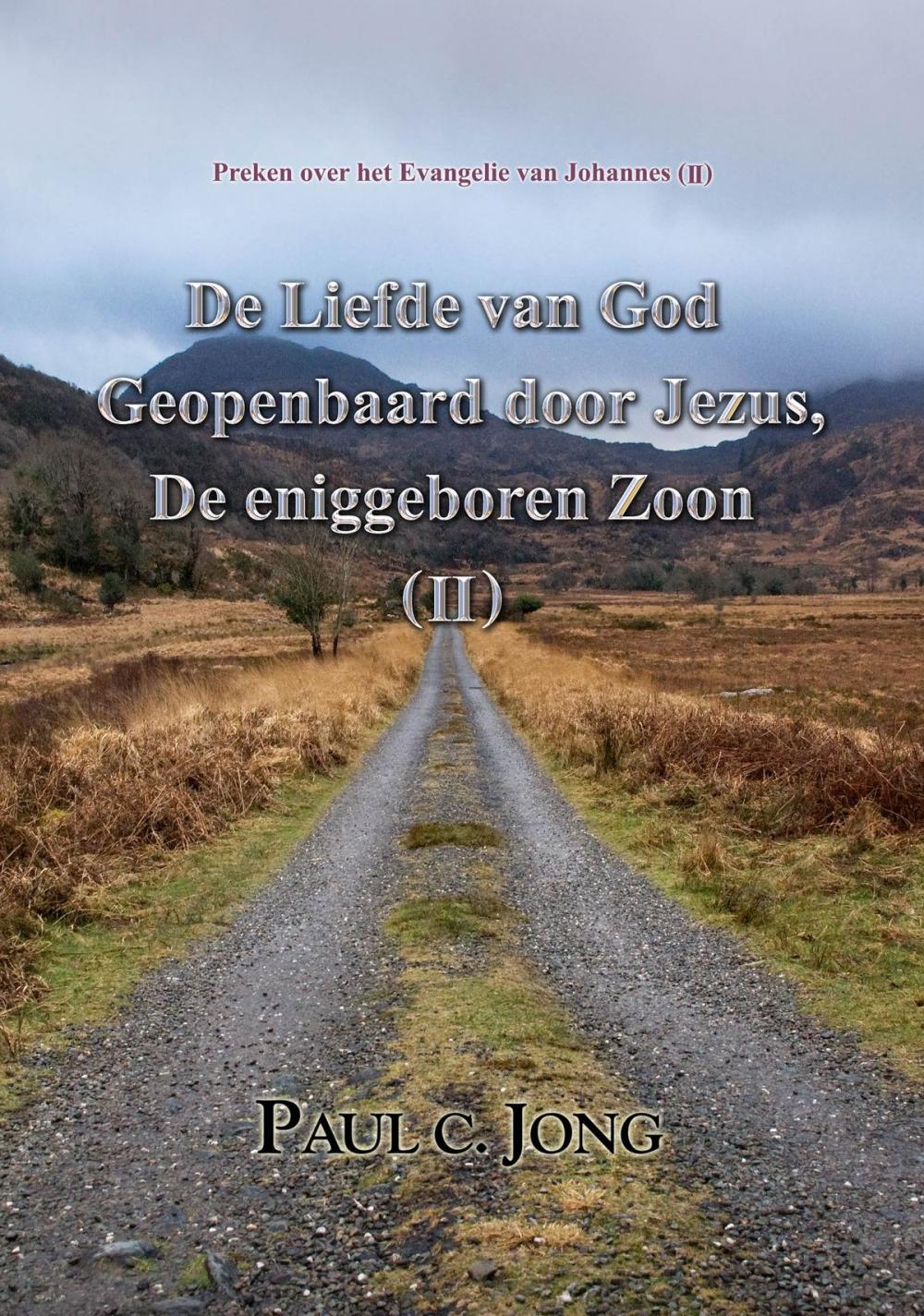 Big bigCover of Preken over het Evangelie van Johannes (II)