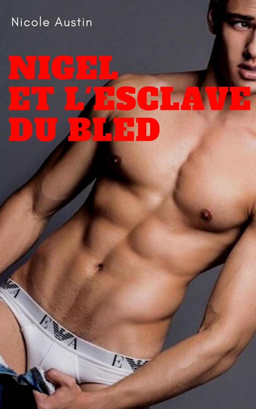 Big bigCover of Nigel et l'esclave du bled