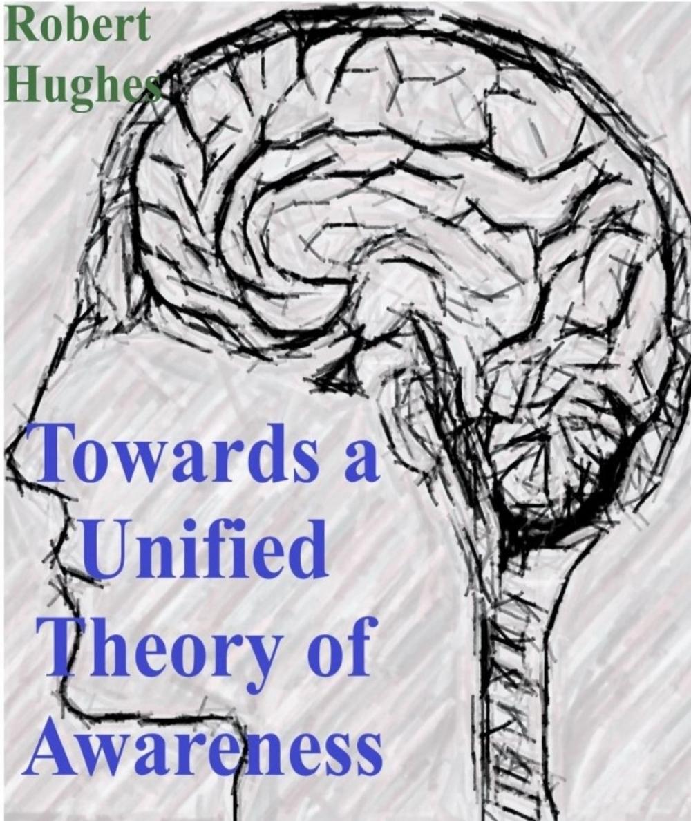 Big bigCover of Towards A Unified Theory of Awareness