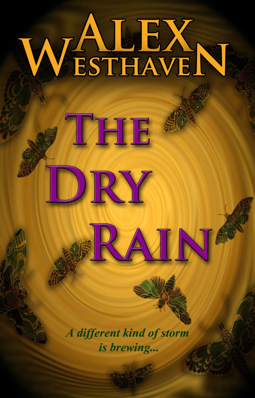 Big bigCover of The Dry Rain