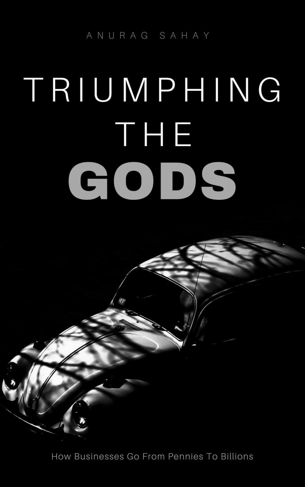 Big bigCover of Triumphing The Gods