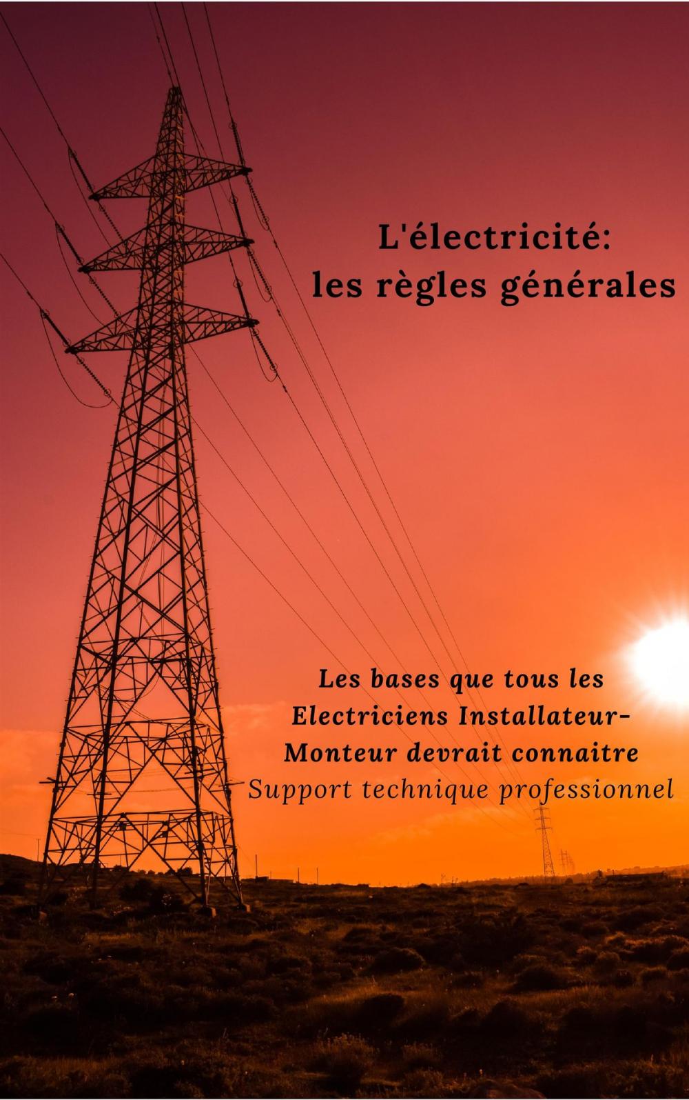 Big bigCover of L'électricité: les règles générales