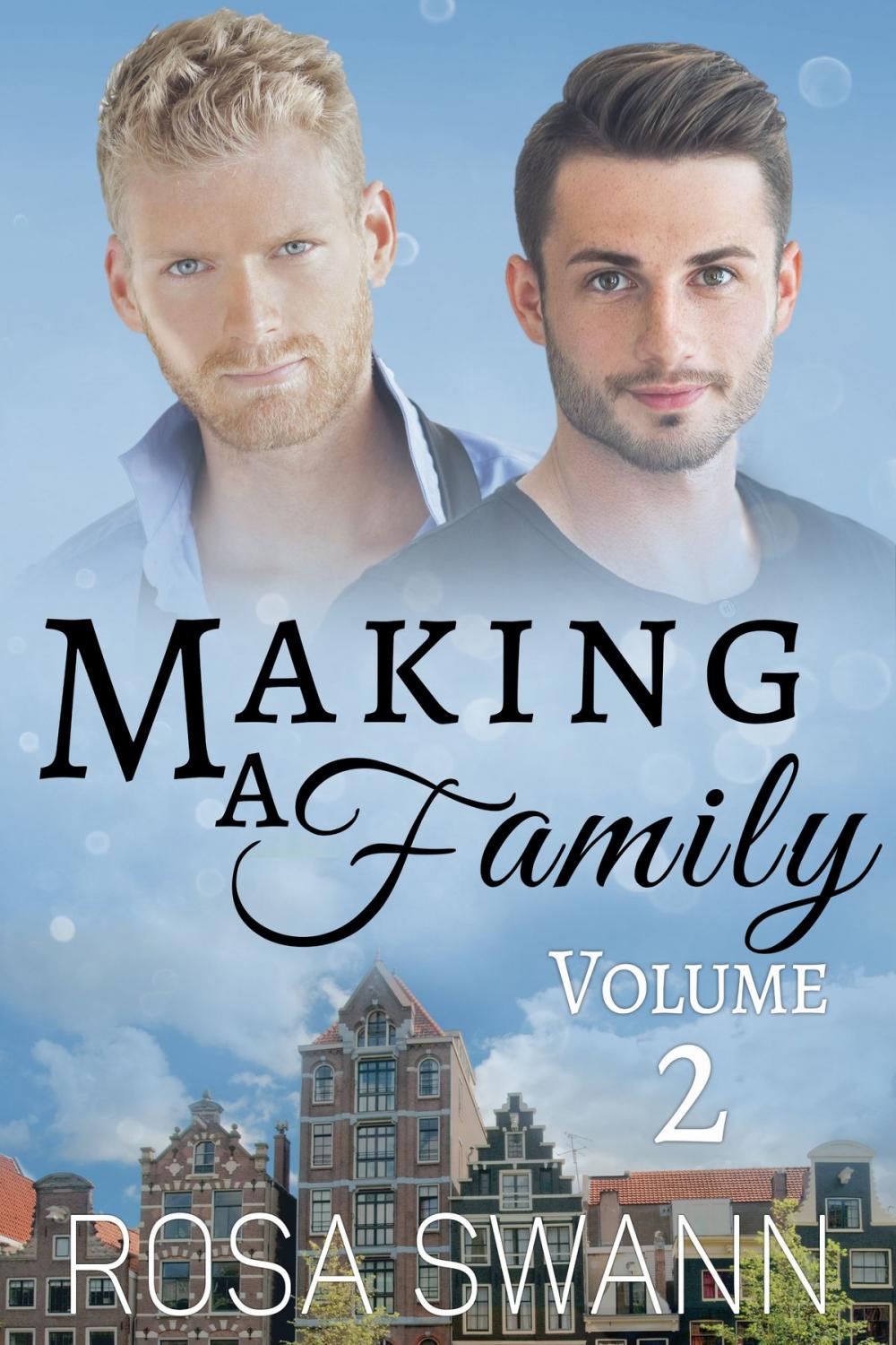 Big bigCover of Making a Family Volume 2