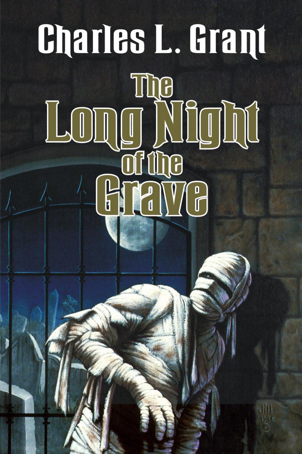 Big bigCover of The Long Night of the Grave