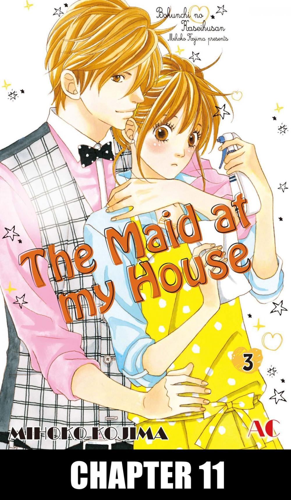 Big bigCover of The Maid at my House