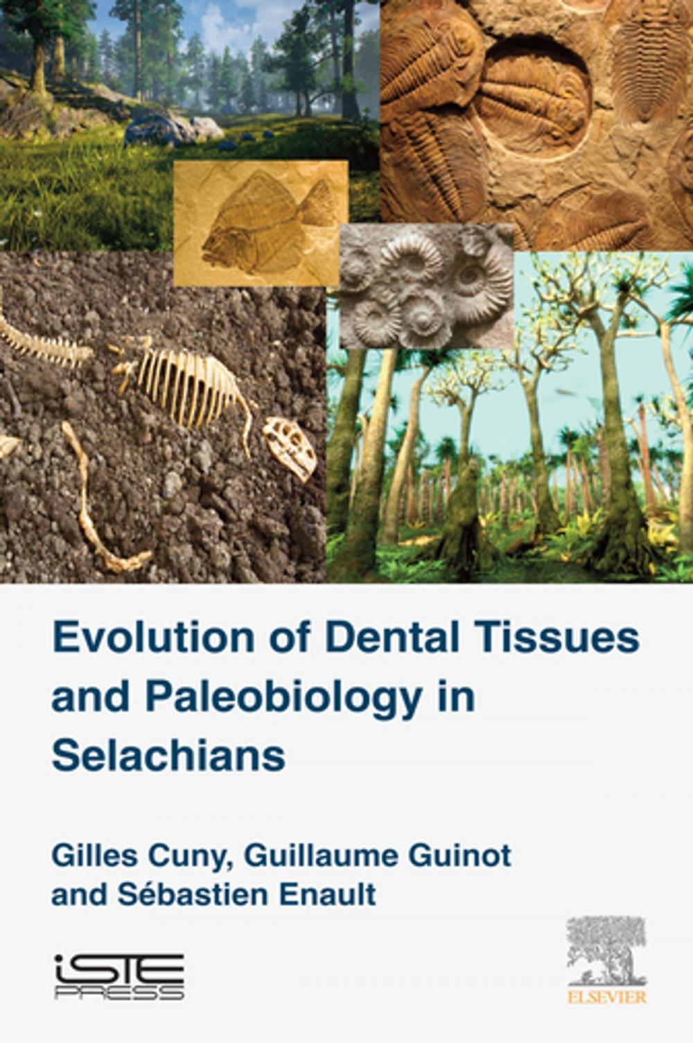 Big bigCover of Evolution of Dental Tissues and Paleobiology in Selachians