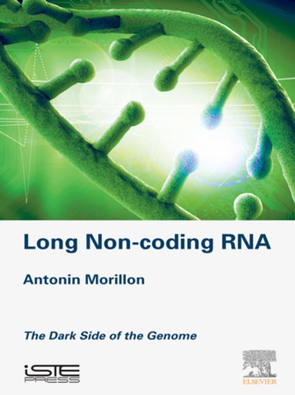 Big bigCover of Long Non-coding RNA