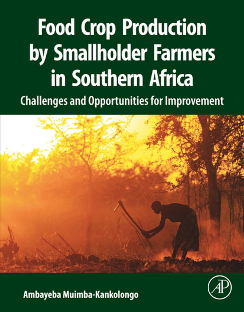 Big bigCover of Food Crop Production by Smallholder Farmers in Southern Africa