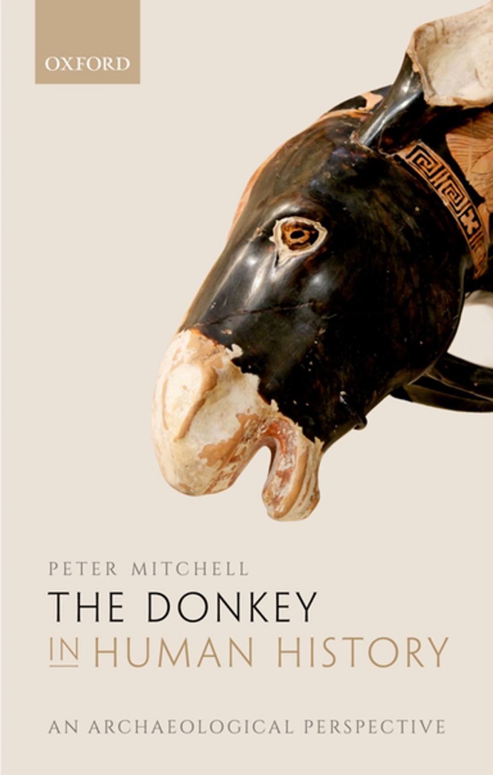 Big bigCover of The Donkey in Human History