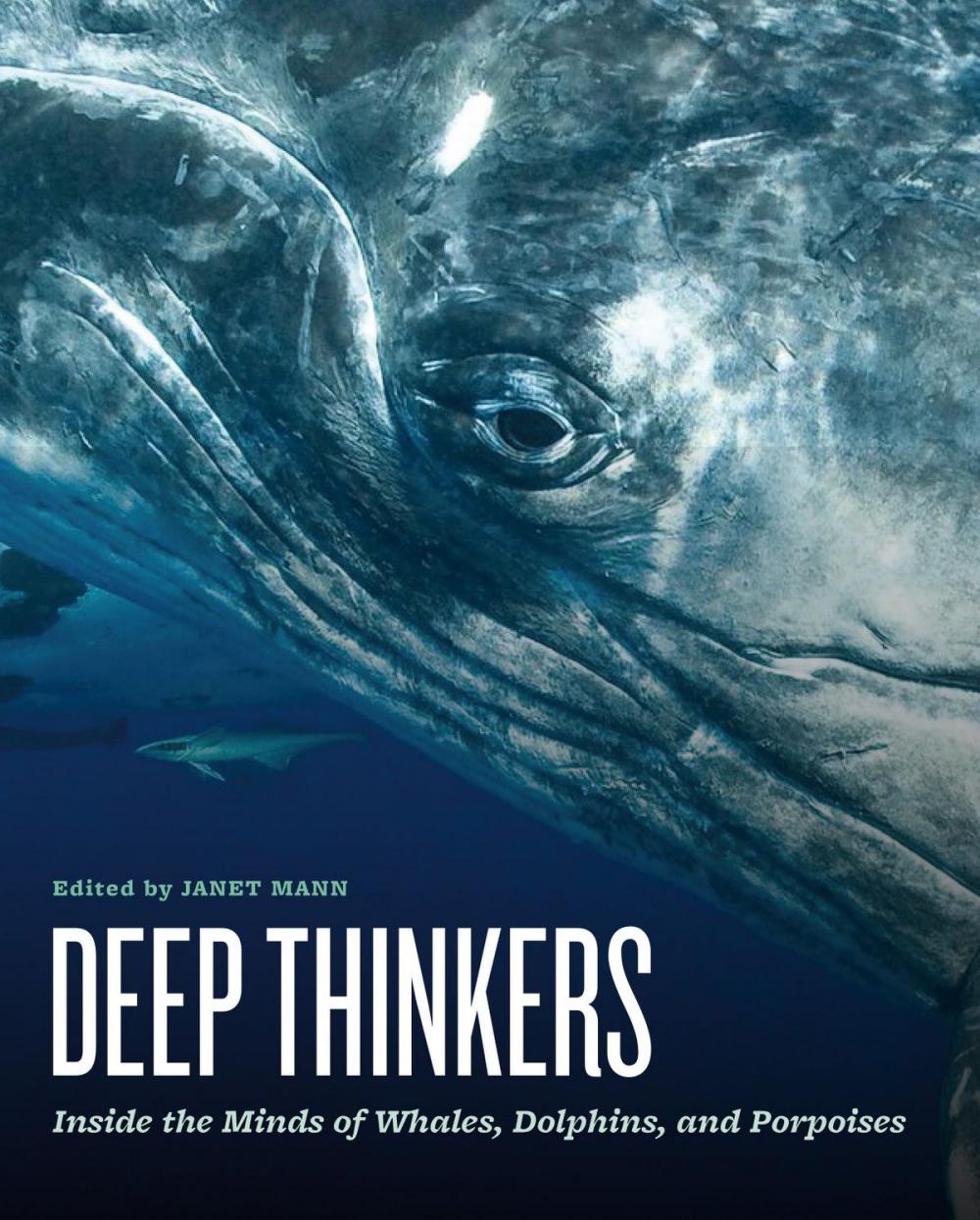 Big bigCover of Deep Thinkers