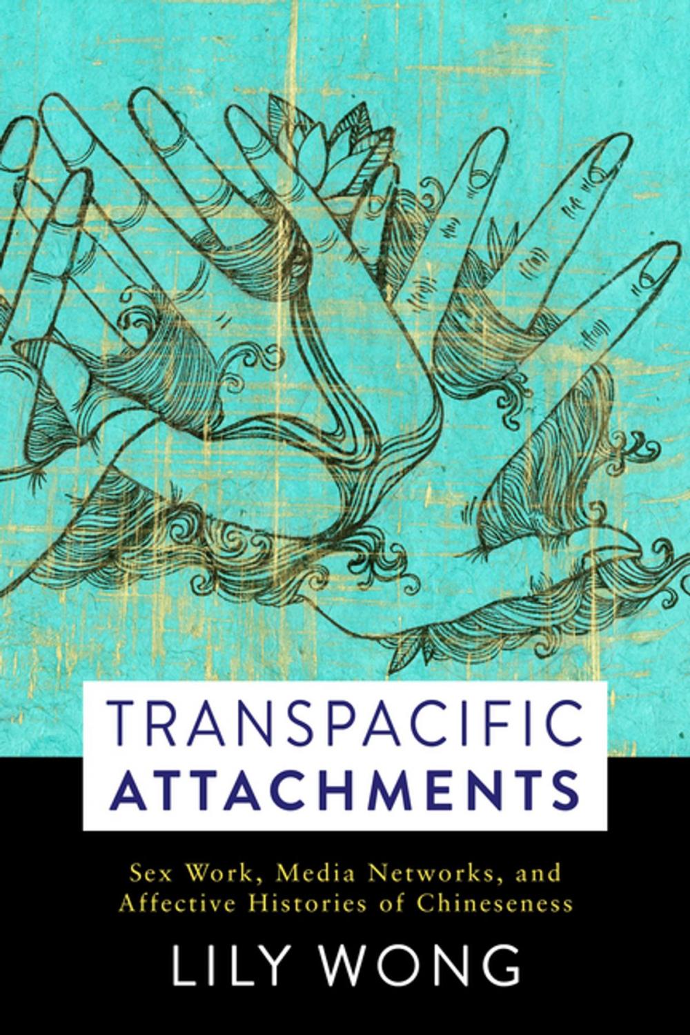 Big bigCover of Transpacific Attachments