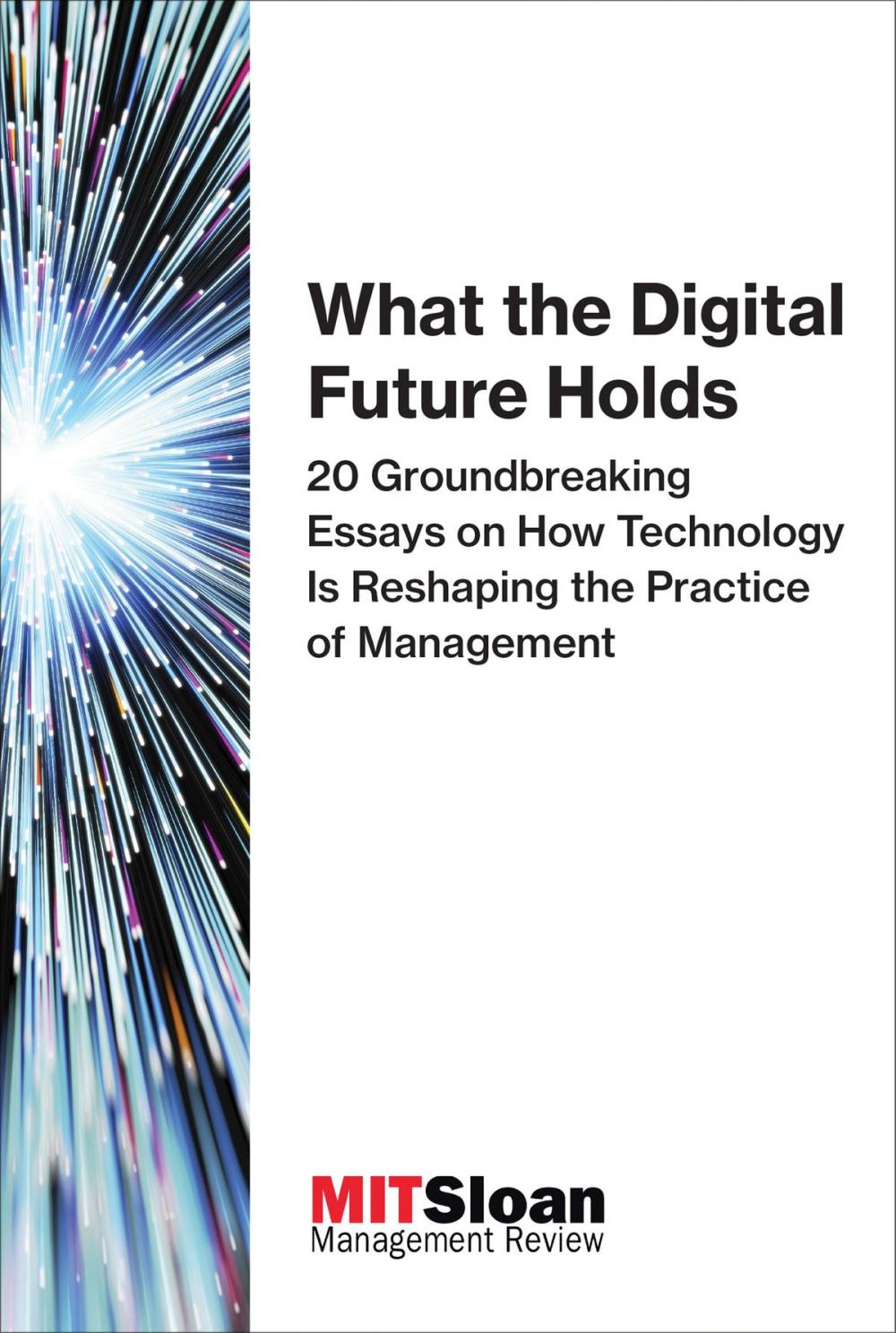 Big bigCover of What the Digital Future Holds