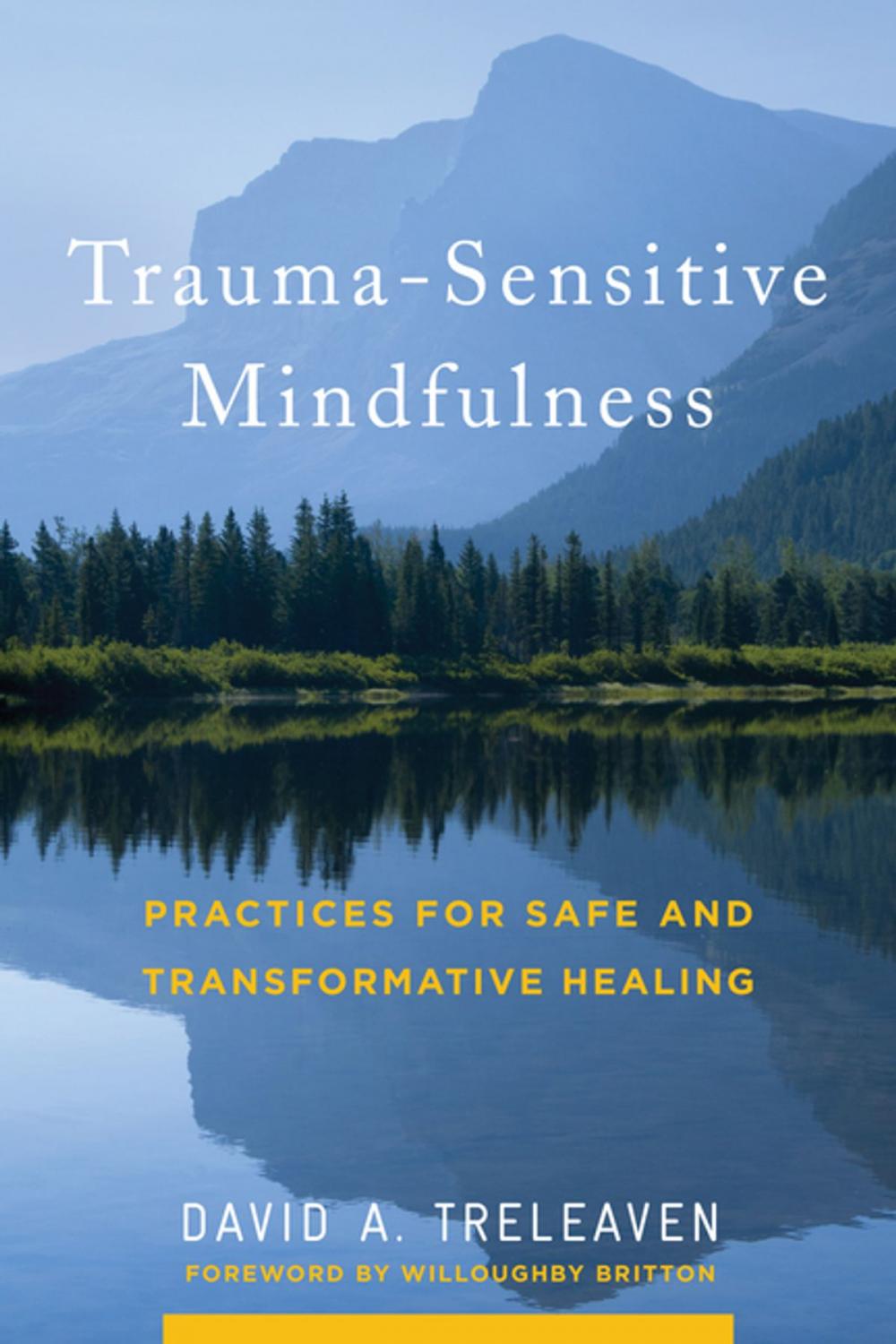 Big bigCover of Trauma-Sensitive Mindfulness: Practices for Safe and Transformative Healing