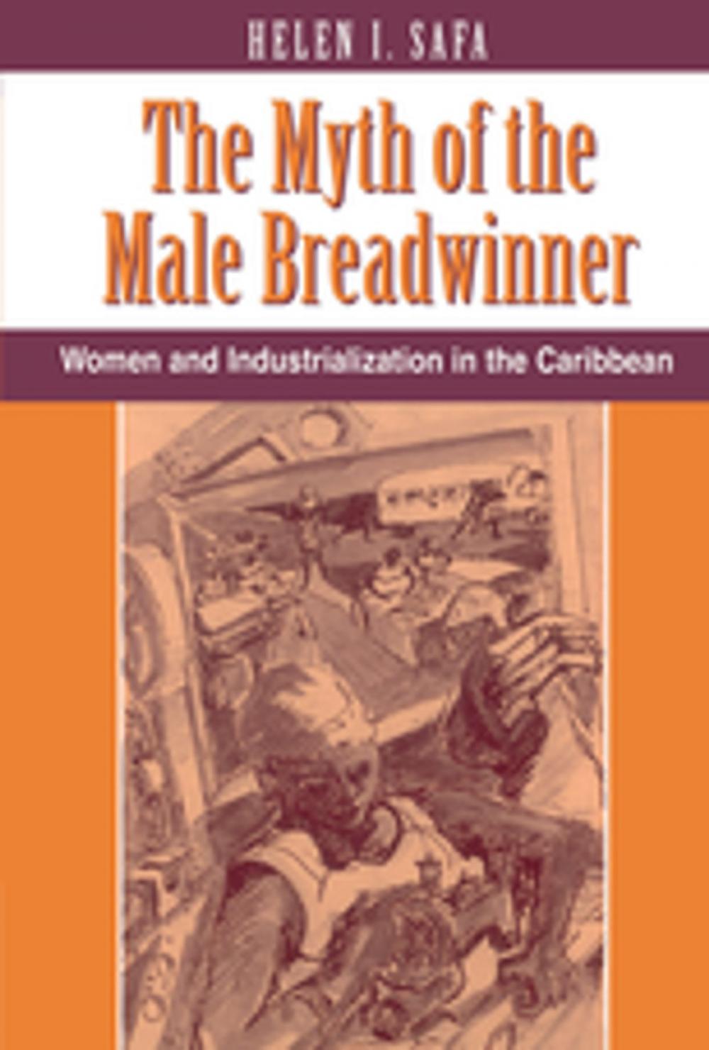 Big bigCover of The Myth Of The Male Breadwinner