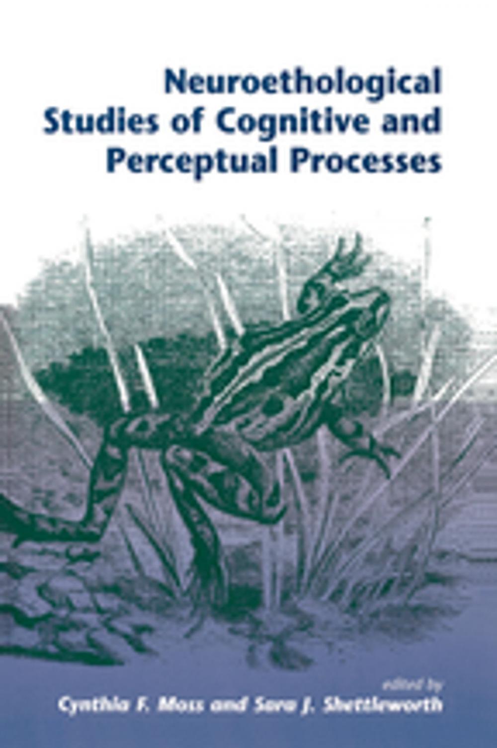 Big bigCover of Neuroethological Studies Of Cognitive And Perceptual Processes