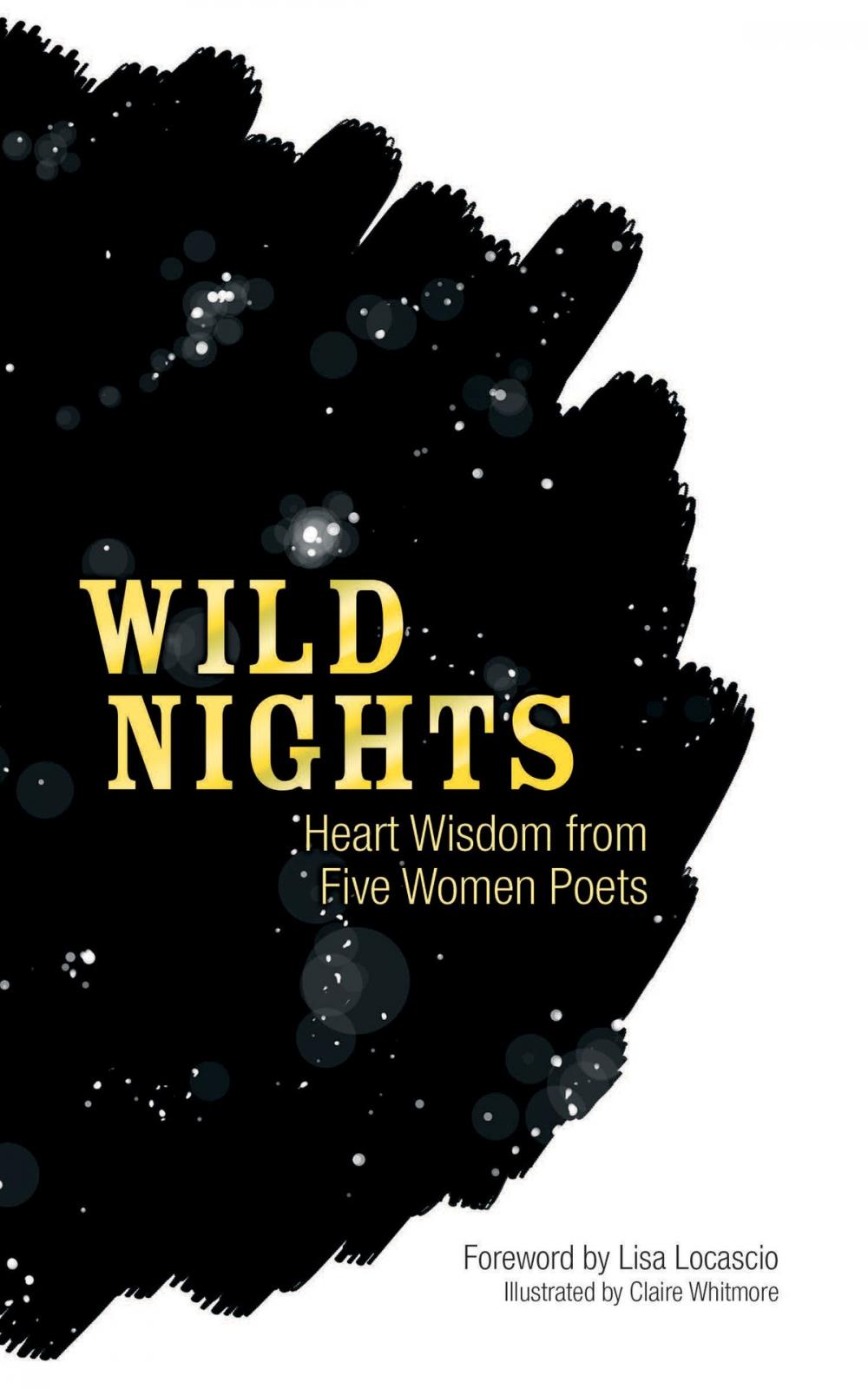 Big bigCover of Wild Nights