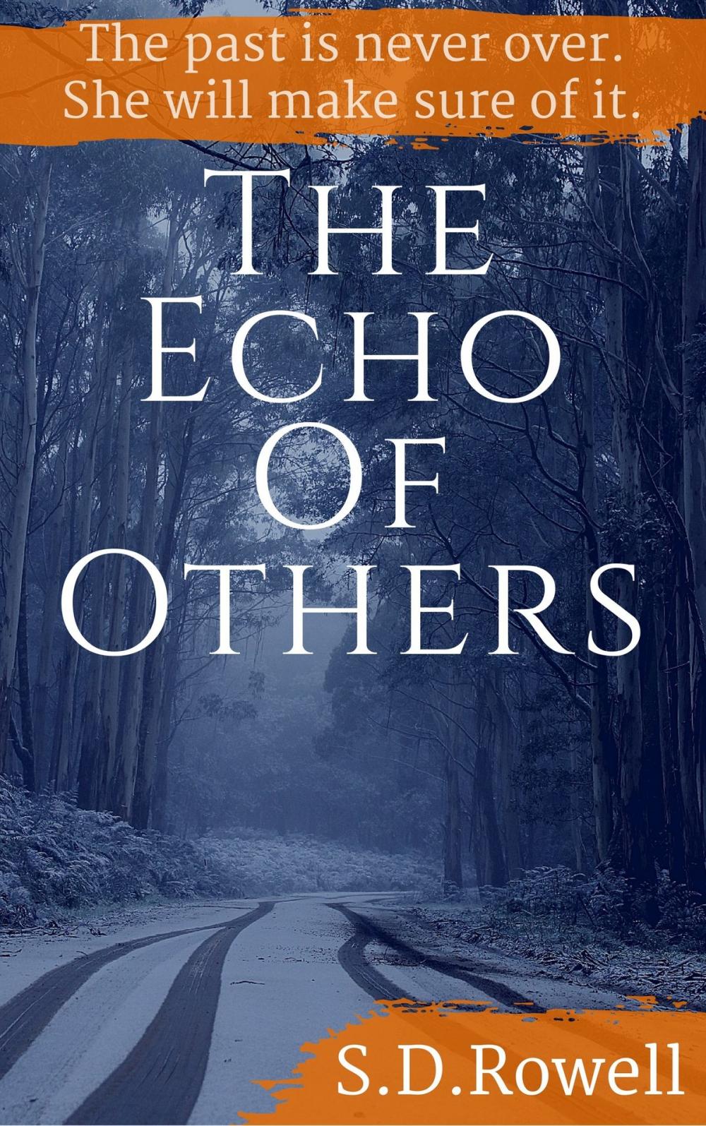 Big bigCover of The Echo of Others