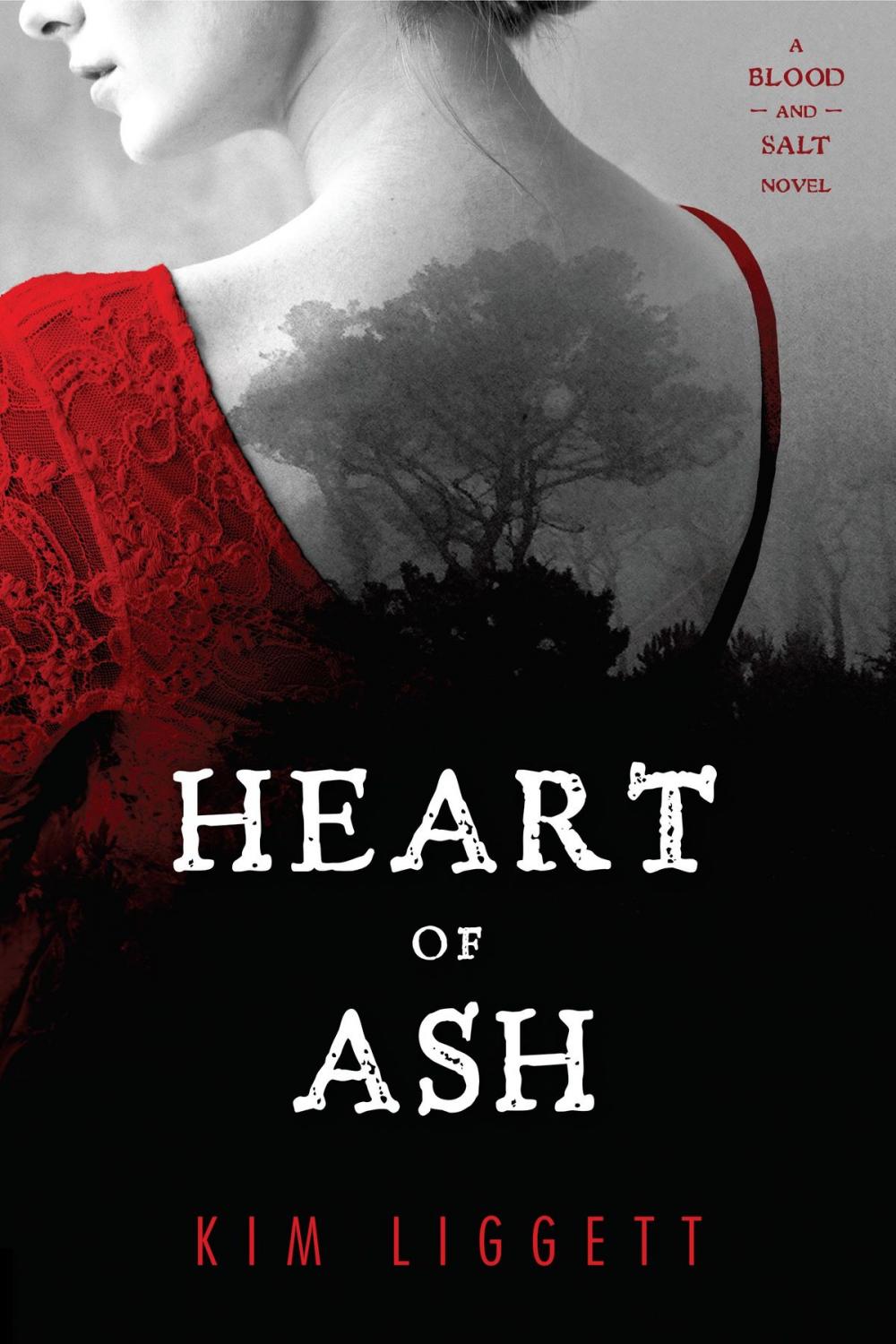 Big bigCover of Heart of Ash