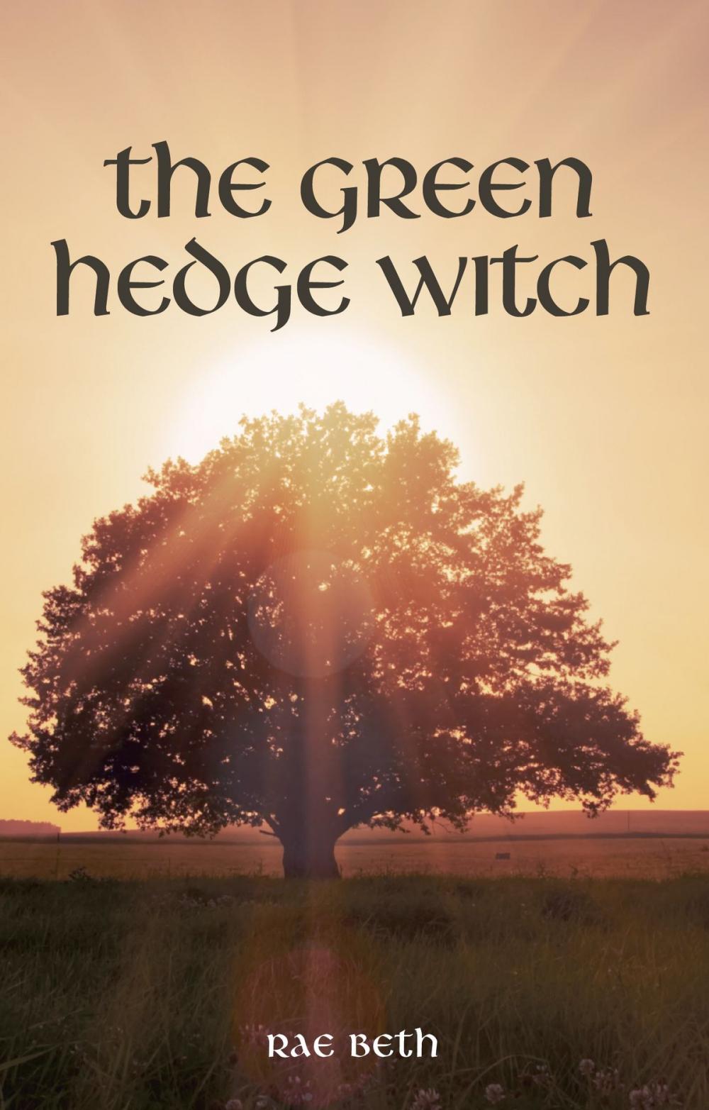 Big bigCover of The Green Hedge Witch