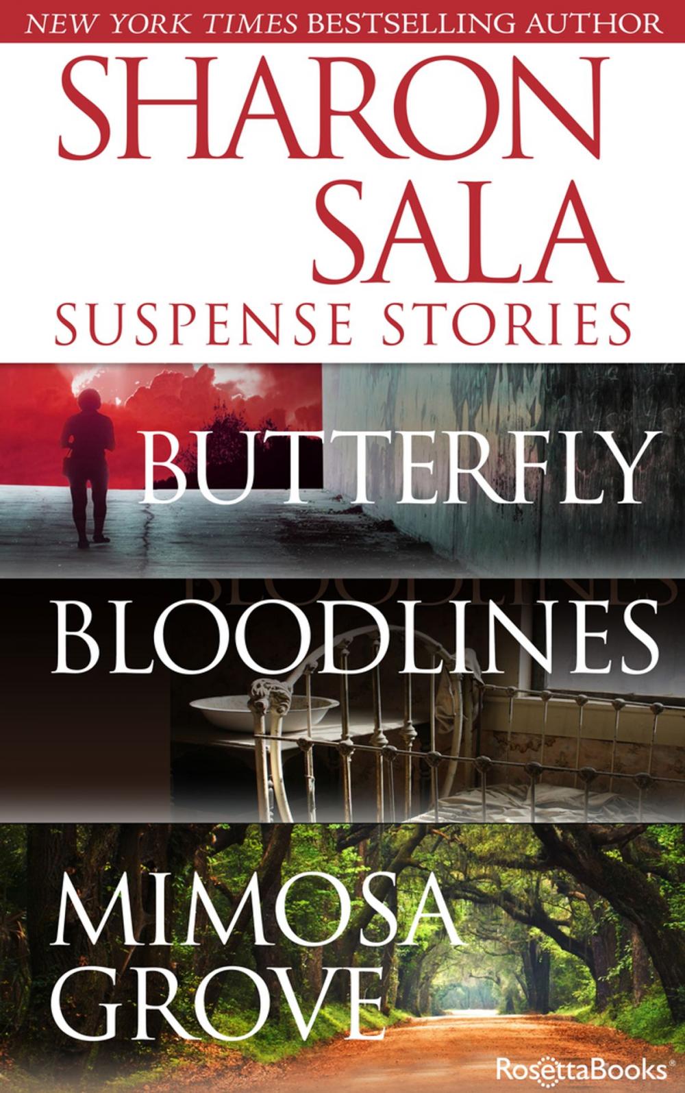 Big bigCover of Sharon Sala Suspense Novels