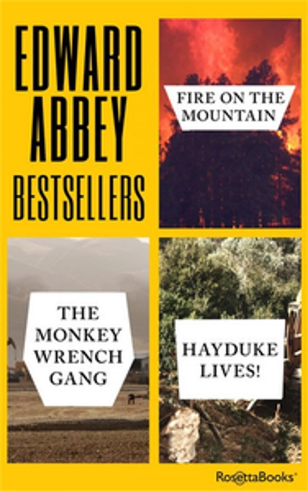 Big bigCover of Edward Abbey Bestsellers