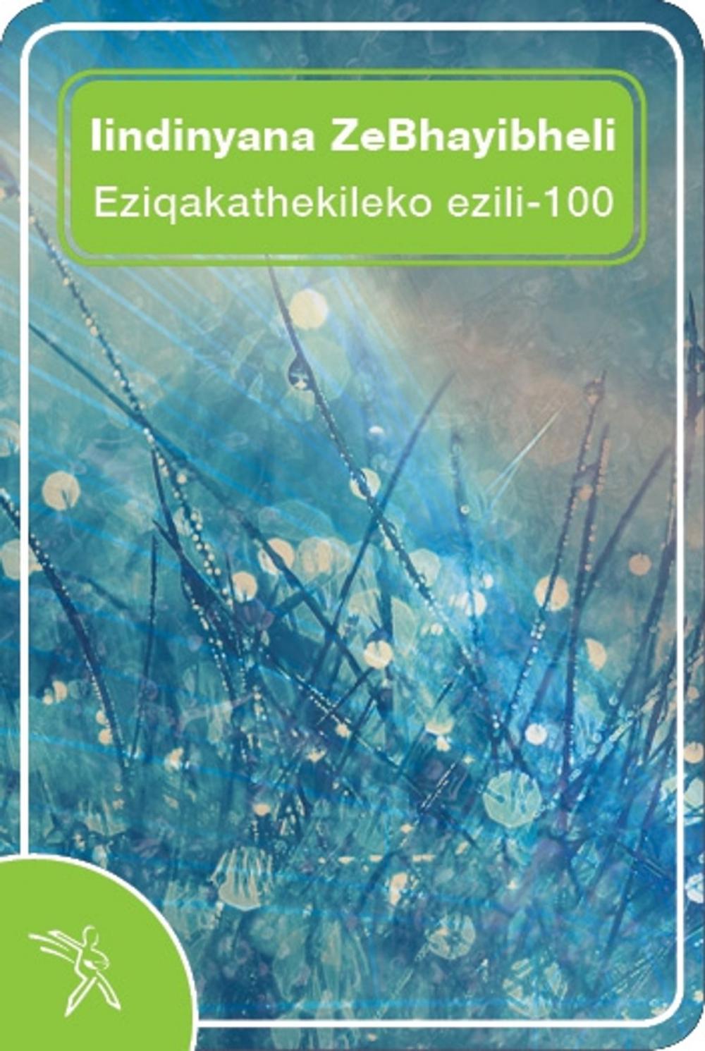 Big bigCover of Iindinyana ZeBhayibheli Eziqakathekileko ezili-100