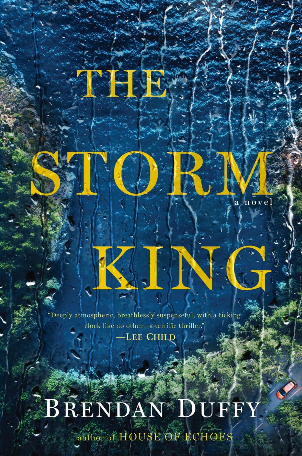 Big bigCover of The Storm King