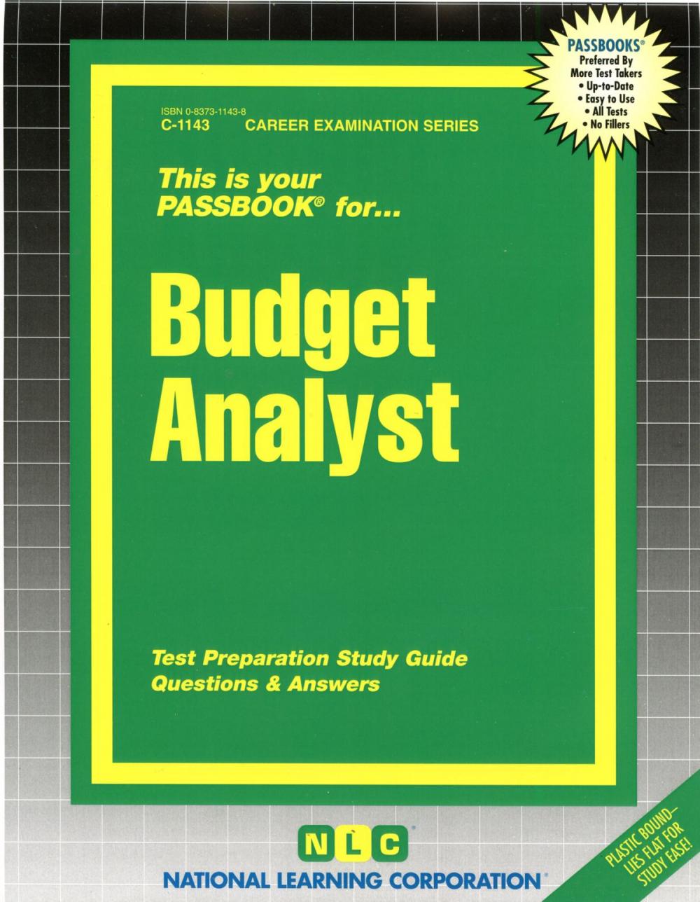 Big bigCover of Budget Analyst