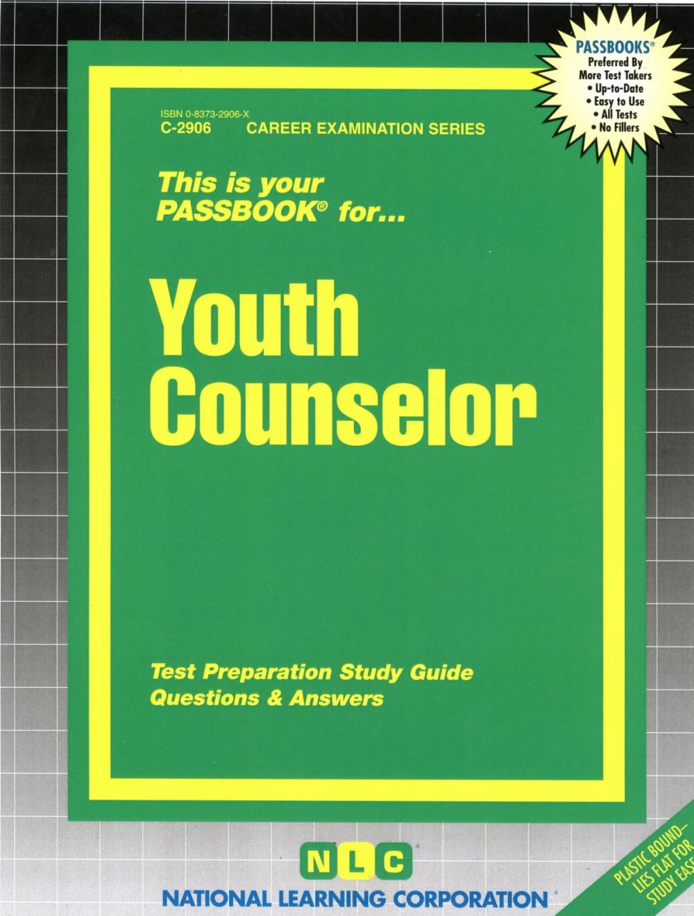 Big bigCover of Youth Counselor