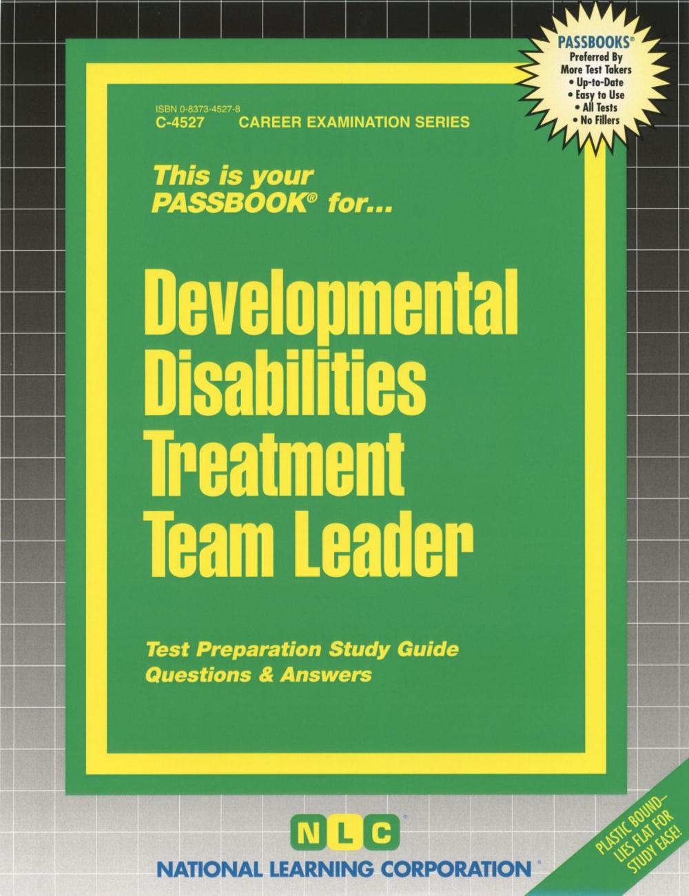 Big bigCover of Developmental Disabilities Treatment Team Leader